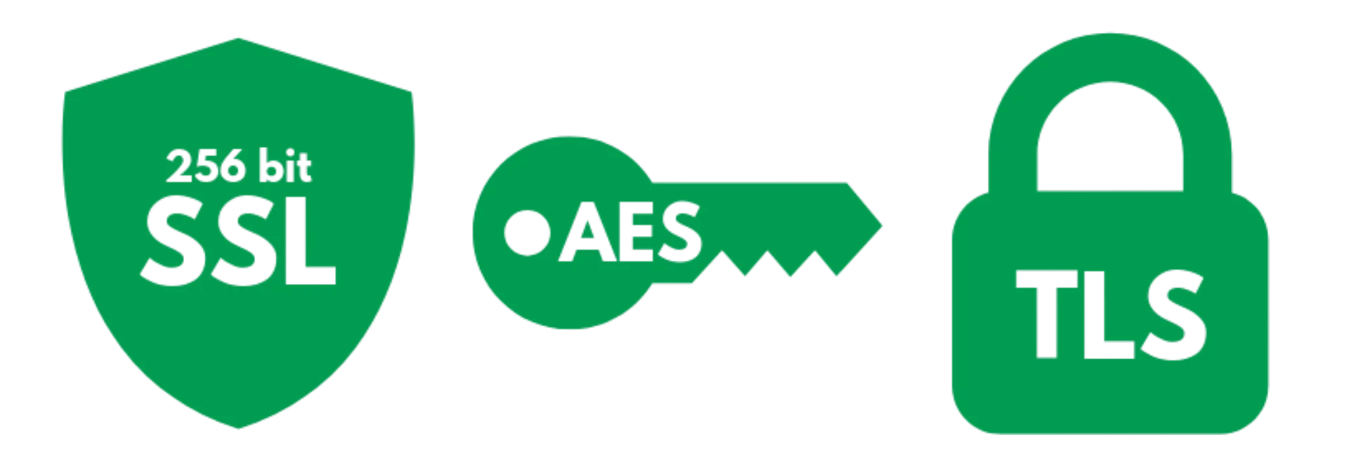 SSL 256-bit Encryption